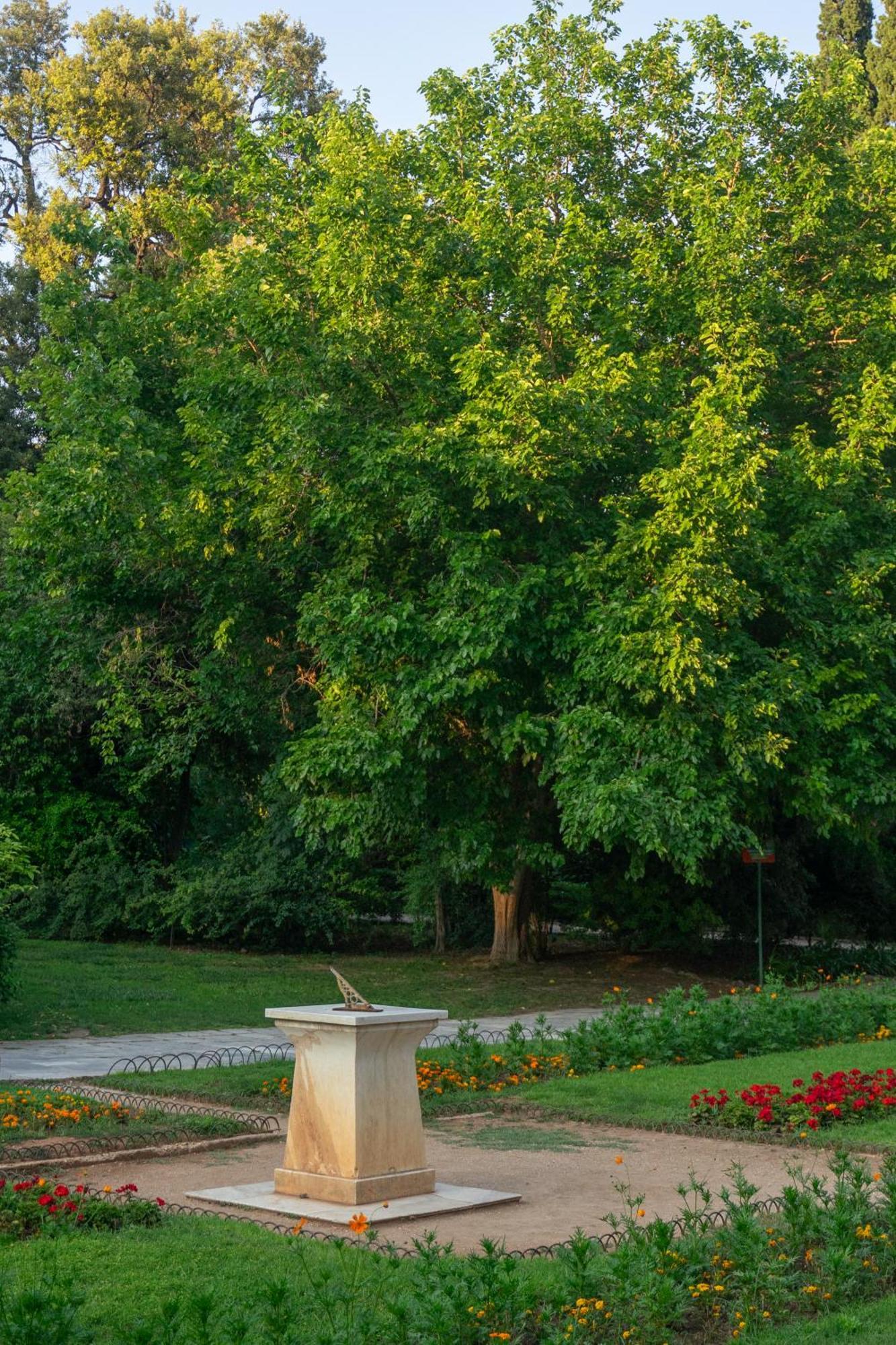 Ivy Apartments In The Heart Of Athene Buitenkant foto
